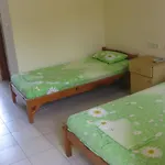 Korkmaz
