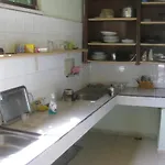 Korkmaz *